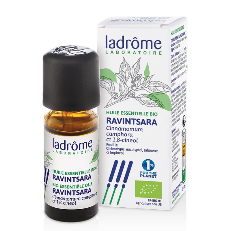 Камфорово дърво (Ravintsara) – За дихателен комфорт и релакс, етерично масло 10 ml