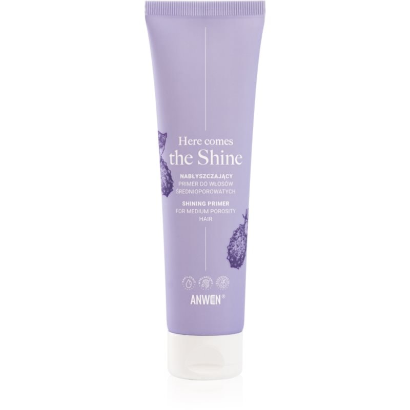 Anwen Here Comes The Shine Shining Primer For Medium Porosity Hair основа За коса - Грижа за коса - Сравни цени от 1 магазин с безплатна доставка
