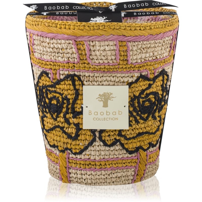 Baobab Collection Frida Draozy Diego ароматна свещ 16 см - Аромат - Сравни цени от 1 магазин с безплатна доставка