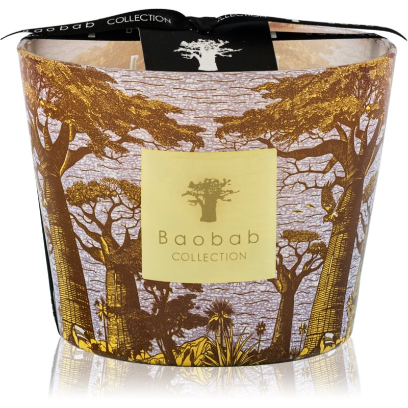 Baobab Collection Sacred Trees Cocody ароматна свещ 10 см - Аромат - Сравни цени от 1 магазин с безплатна доставка