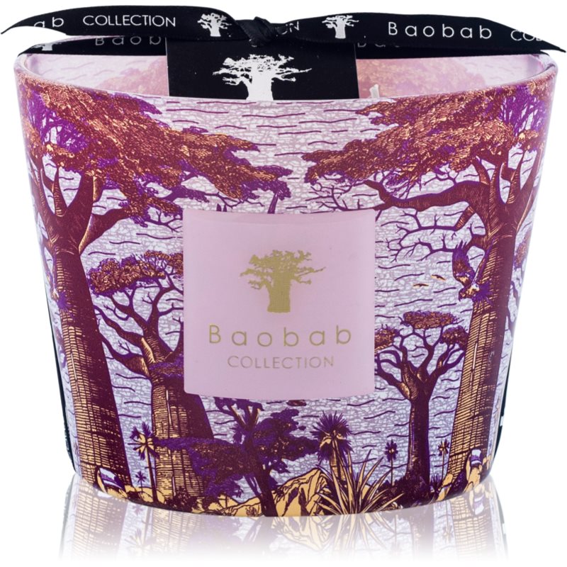 Baobab Collection Sacred Trees Massasso ароматна свещ 10 см - Аромат - Сравни цени от 1 магазин с безплатна доставка
