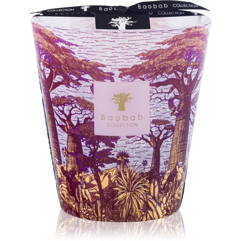 Baobab Collection Baobab Collection Sacred Trees Massasso ароматна свещ 16 см - Унисекс парфюм - Сравни цени от 1 магазин с безплатна доставка