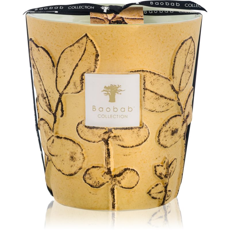 Baobab Collection Folia Garrigue ароматна свещ 16 см - Аромат - Сравни цени от 1 магазин с безплатна доставка