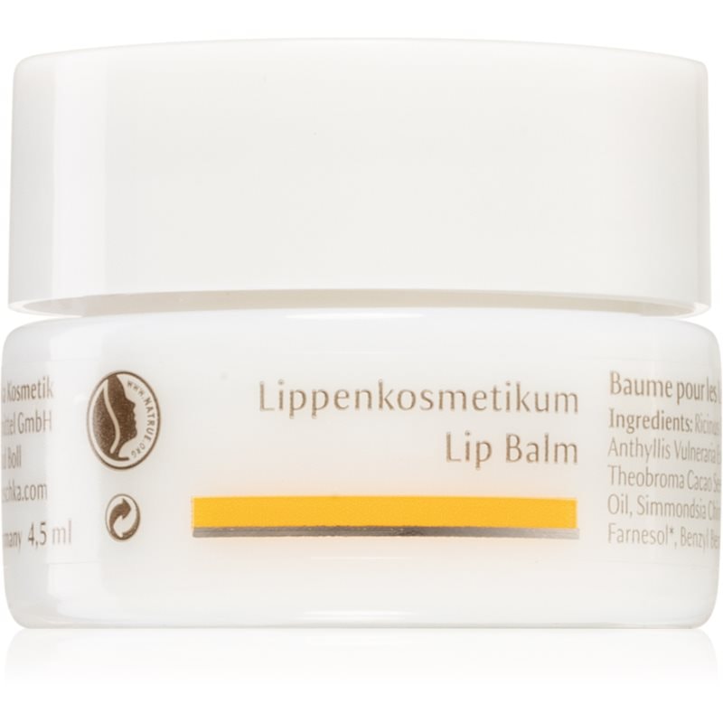 Dr. Hauschka Eye And Lip Care балсам за устни с подхранващ ефект - Грижа за лице - Сравни цени от 1 магазин с безплатна доставка