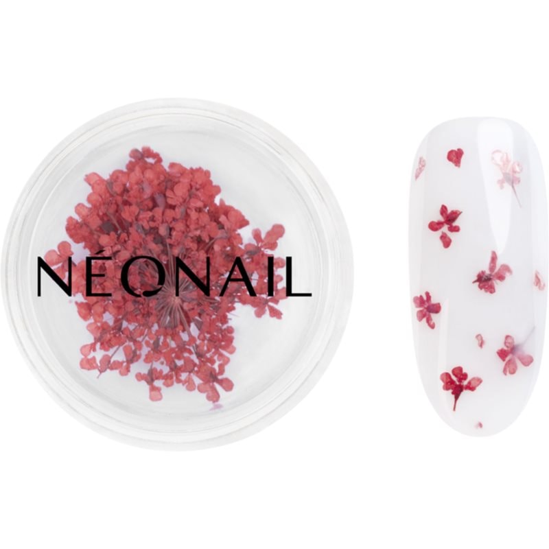 NEONAIL Dried Flowers сушен - Грим - Сравни цени от 1 магазин с безплатна доставка