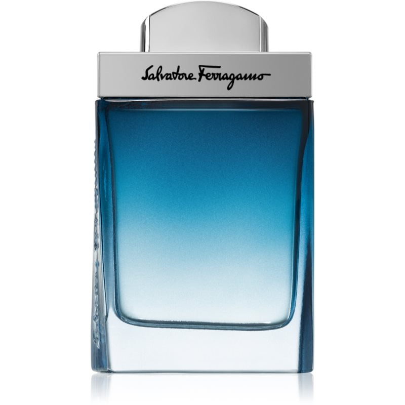 Ferragamo Subtil Pour Homme за мъже EDT