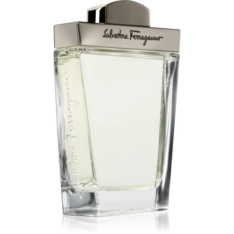 Ferragamo Pour Homme за мъже EDT