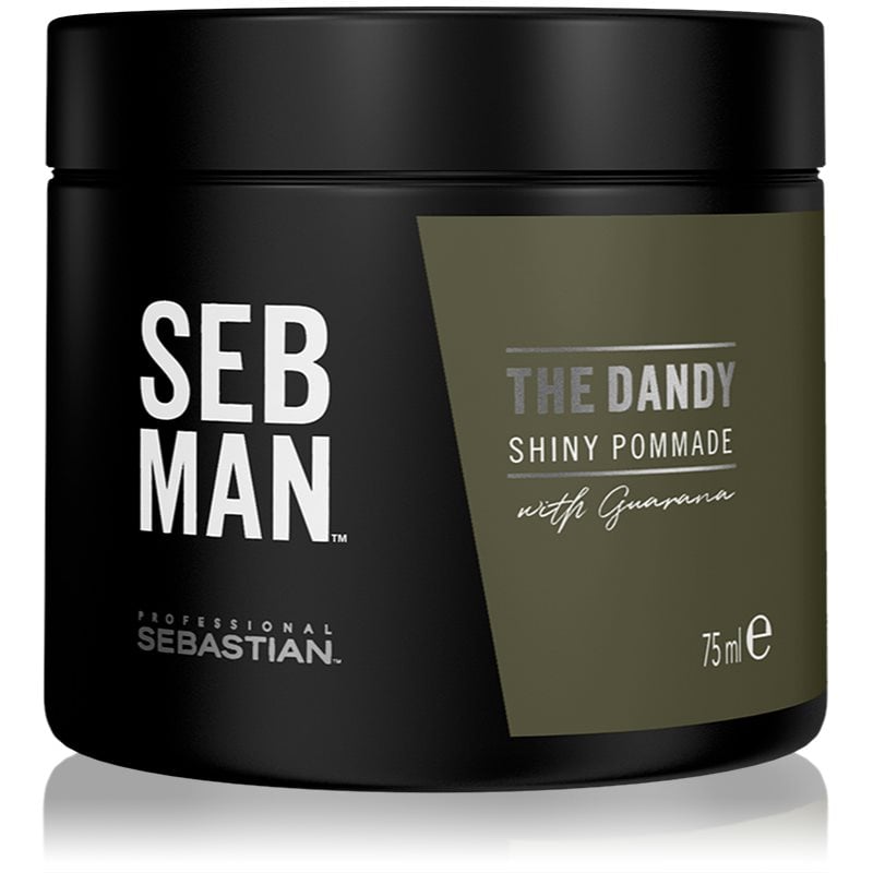 Sebastian Professional SEB MAN The Dandy помада за коса за естествена фиксация