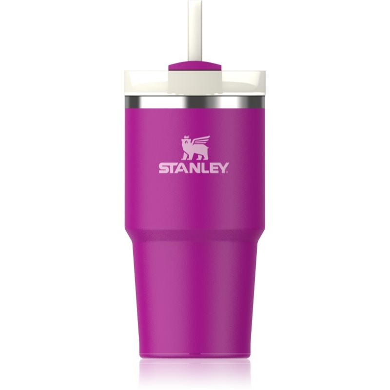Stanley Quencher H2.O FlowState™ Tumbler неръждаема термочаша със сламка малък Violet Blossom - Грижа за тяло - Сравни цени от 1 магазин с безплатна доставка