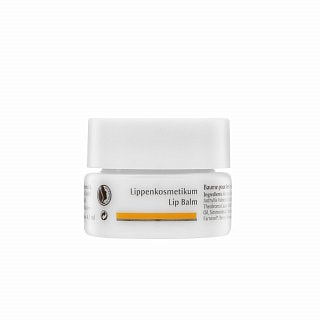 Dr. Hauschka Lip Balm подхранващ балсам за устни - Грижа за лице - Сравни цени от 1 магазин с безплатна доставка