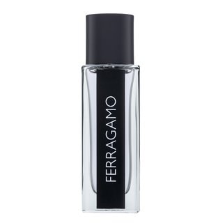 Salvatore Ferragamo Salvatore Ferragamo Ferragamo за мъже EDT - Мъжки парфюм 30мл - Сравни цени от 1 магазин с безплатна доставка