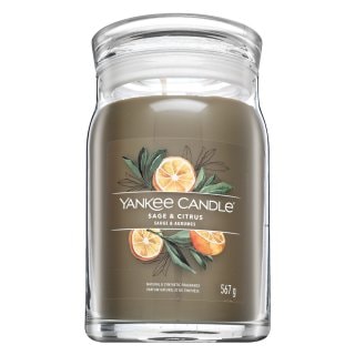 Yankee Candle Sage & Citrus 567 g - Аромат - Сравни цени от 1 магазин с безплатна доставка